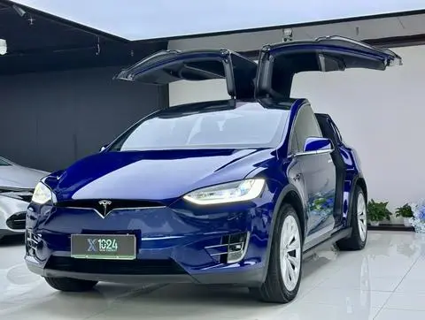 Tesla Model X 2019