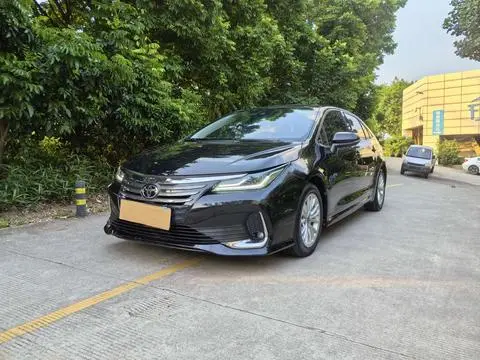 Toyota 亚洲狮 2022
