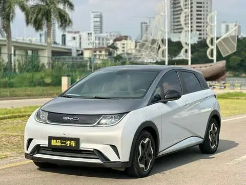 BYD Dolphin 2021