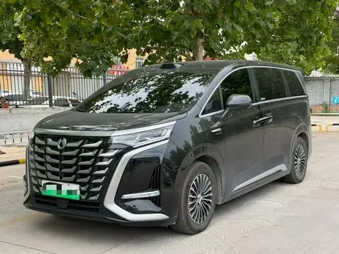 Denza D9 DM 2025