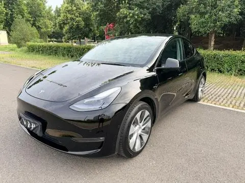 Tesla Model Y 2021 — фото 1