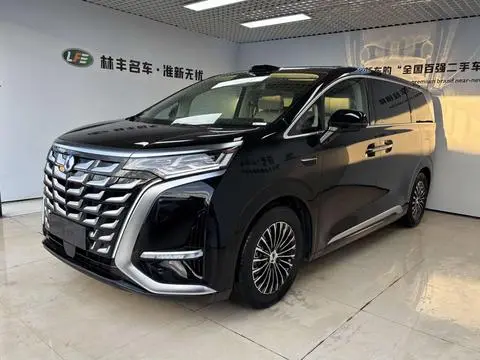 Denza D9 DM 2025