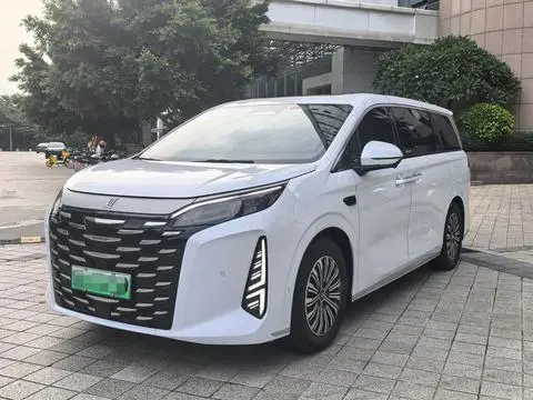 BYD 夏 2025