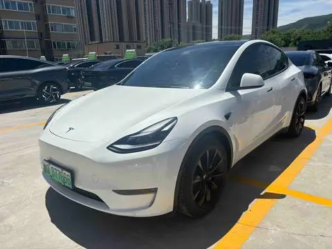 Tesla Model Y 2021 — фото 1