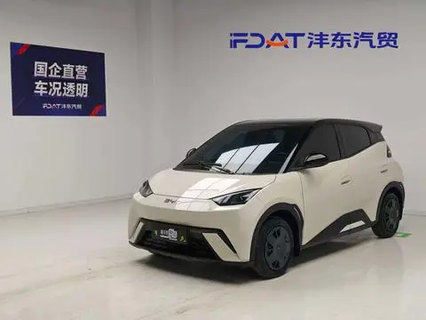 BYD Seagull 2025