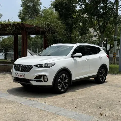 Wey VV6 2021