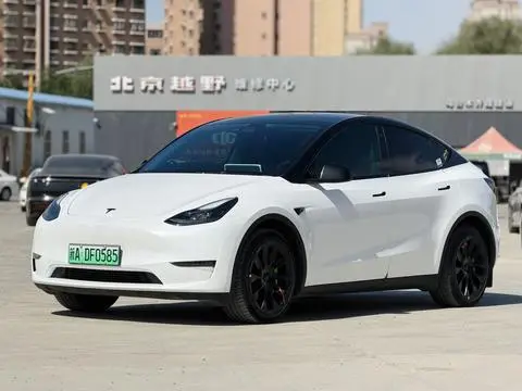 Tesla Model Y 2021