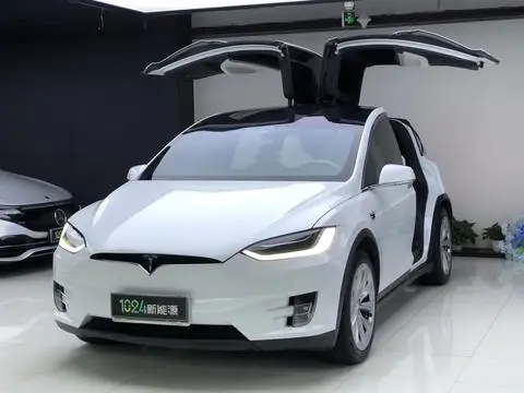 Tesla Model X 2019