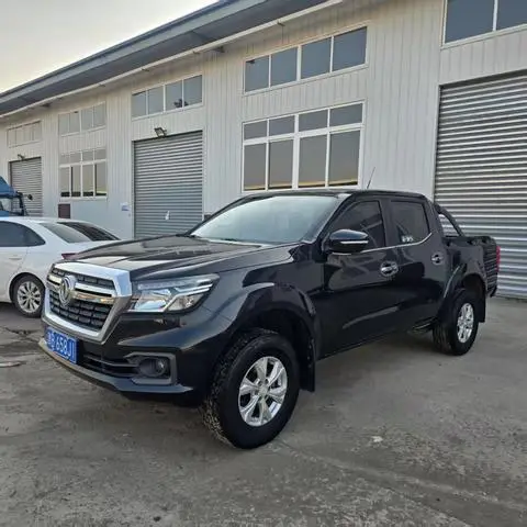 Dongfeng 锐骐6 2019