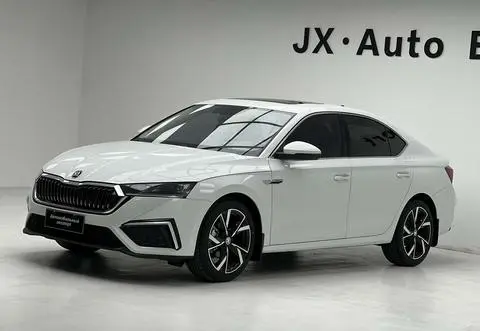 Skoda 明锐 2023