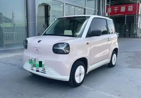 Zhidou 彩虹 2024