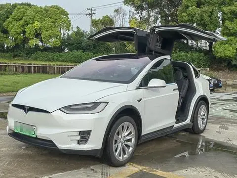 Tesla Model X 2019