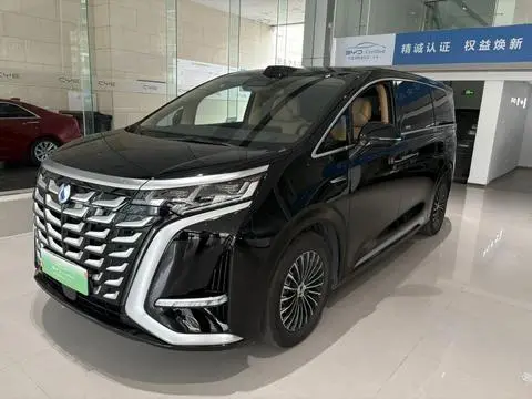 Denza D9 DM 2025