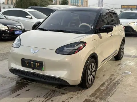 Wuling Bingo 2024