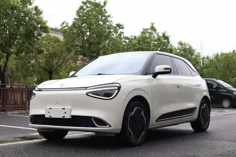Dongfeng 纳米01 2024