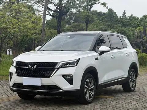 Wuling Xingchen 2021