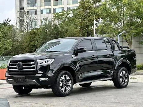 Great Wall 炮 2021