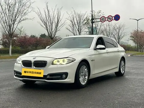 BMW 5 Series 2014