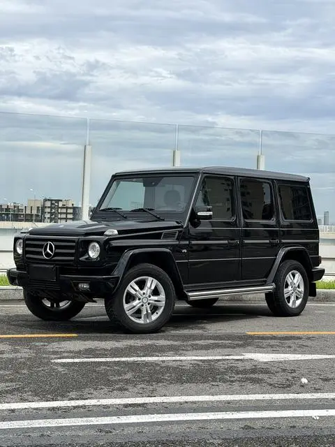 Mercedes-Benz G-Class 2010