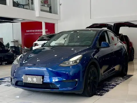 Tesla Model Y 2021 — фото 1