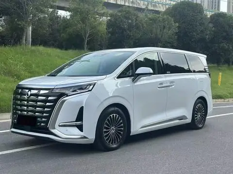 Denza D9 DM 2022