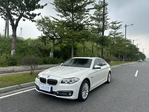 BMW 5 Series 2014