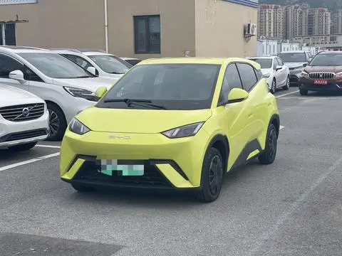 BYD Seagull 2024