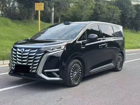 Denza D9 DM 2025