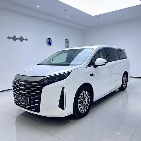 BYD 夏 2025