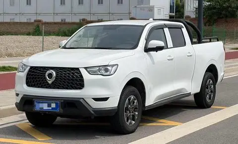 Great Wall 炮 2021