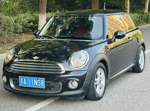 MINI MINI 2013