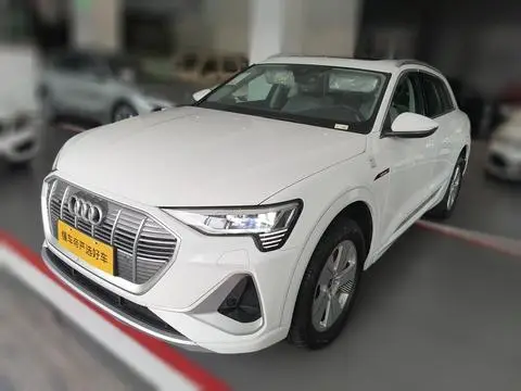 Audi e-tron 2021