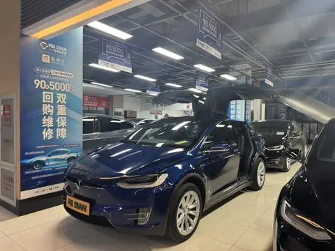 Tesla Model X 2019