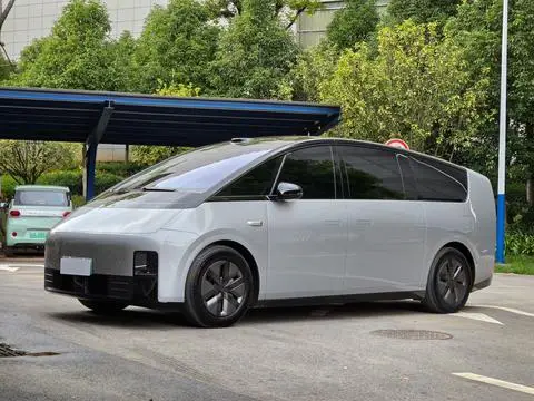 Li MEGA 2025