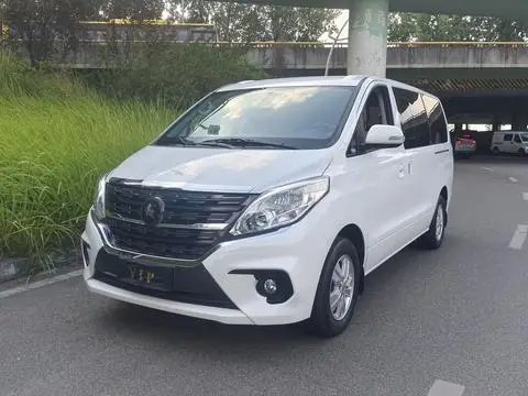 Forthing LingzhiPLUS 2024