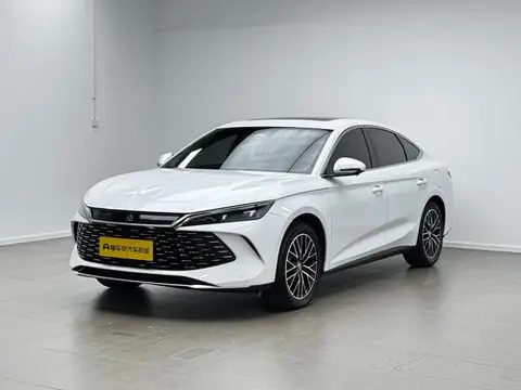 BYD 秦L DM 2024