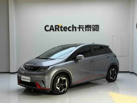 BYD Dolphin 2021
