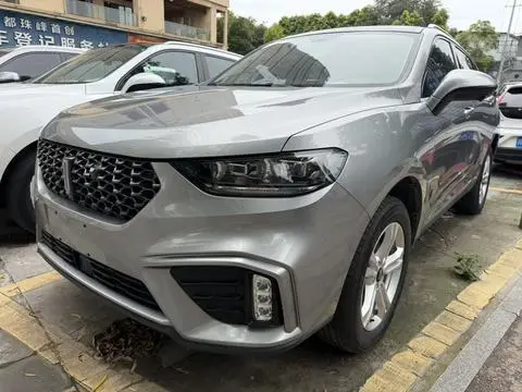 Wey VV5 2020