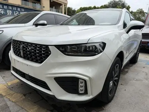 Wey VV5 2020