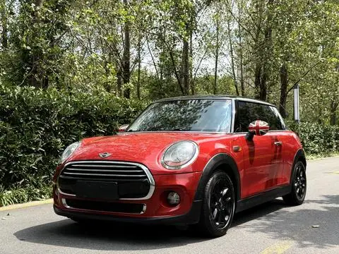 MINI MINI 2014