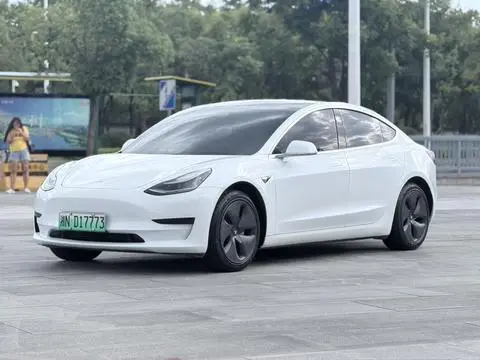 Tesla Model 3 2019