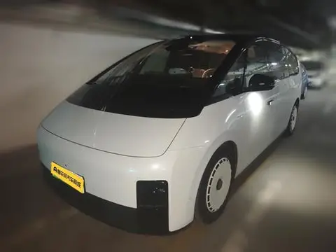 Li MEGA 2025