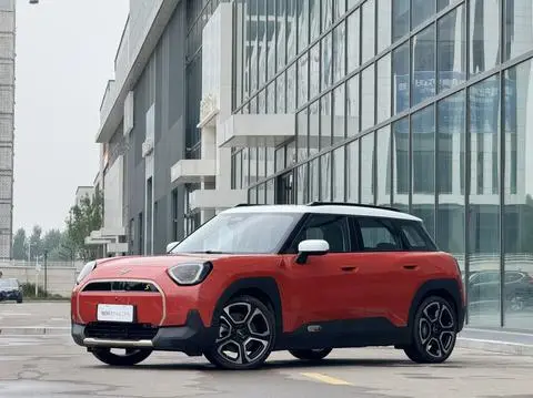 MINI MINI ACEMAN 2024