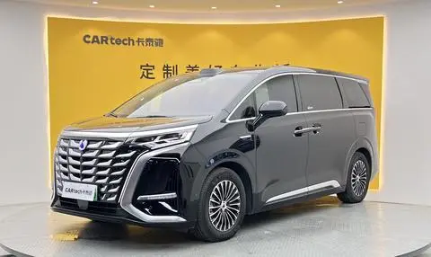Denza D9 DM 2025