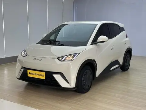 BYD Seagull 2025