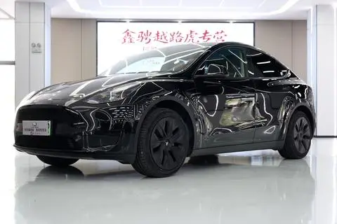 Tesla Model Y 2023 — фото 1