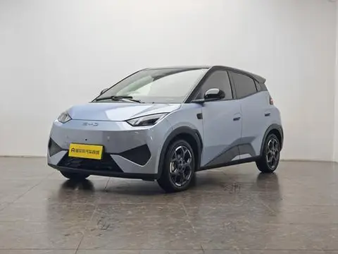 BYD Seagull 2025