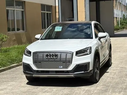 Audi Q2L e-tron 2019