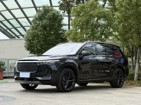 Li ONE 2021