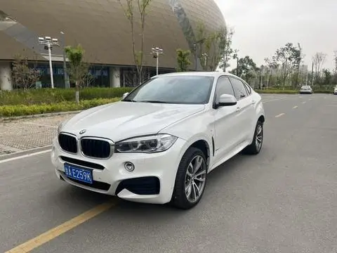 BMW X6 2019